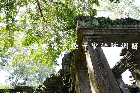 继承遗产经一审法院调解撤诉 继承遗产经一审法院调解撤诉