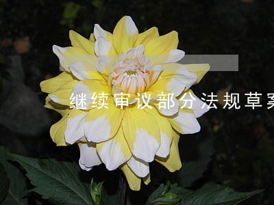 继续审议部分法规草案 继续审议部分法规草案