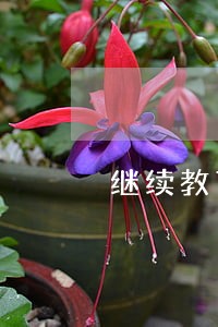 继续教育学院考试试卷建筑法规