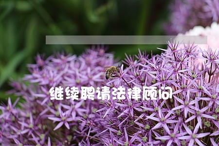继续聘请法律顾问 继续聘请法律顾问