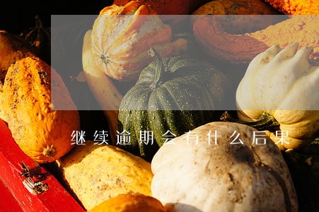 继续逾期会有什么后果