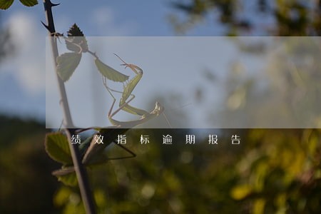 绩效指标逾期报告