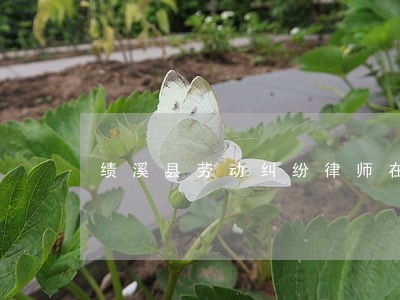 绩溪县劳动纠纷律师在线咨询 绩溪县劳动纠纷律师在线咨询