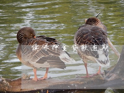 续保押金贷款逾期 续保押金贷款逾期