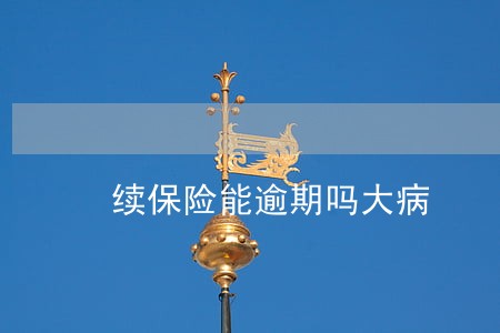 续保险能逾期吗大病