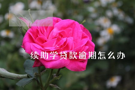 续助学贷款逾期怎么办 续助学贷款逾期怎么办