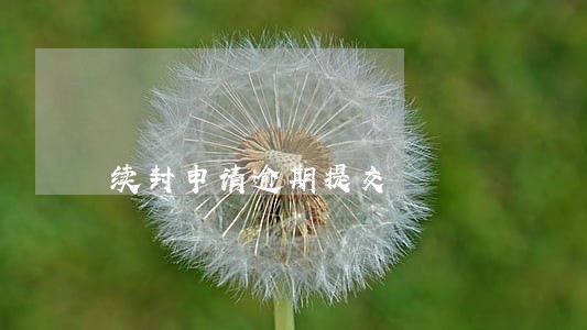 续封申请逾期提交 续封申请逾期提交