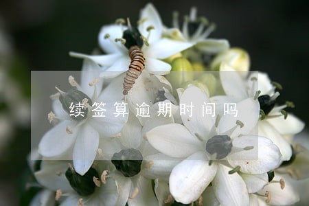 续签算逾期时间吗 续签算逾期时间吗