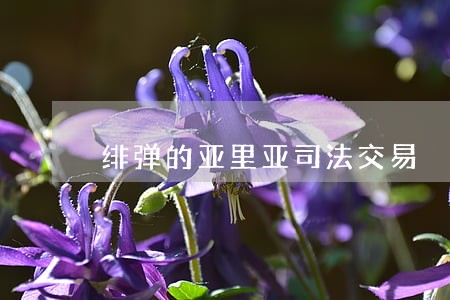 绯弹的亚里亚司法交易 绯弹的亚里亚司法交易