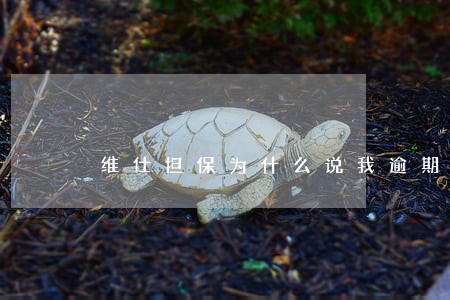 维仕担保为什么说我逾期 维仕担保为什么说我逾期