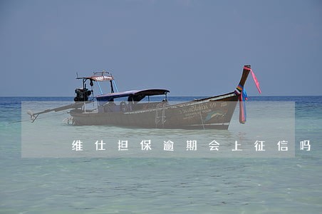 维仕担保逾期会上征信吗 维仕担保逾期会上征信吗