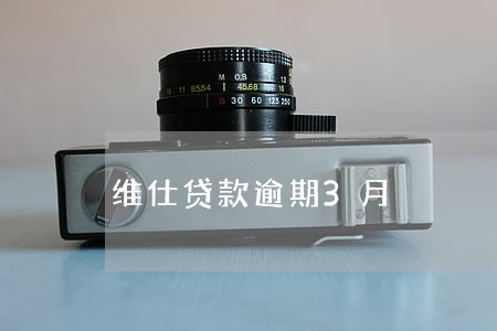 维仕贷款逾期3月 维仕贷款逾期3月