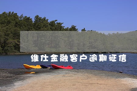 维仕金融客户逾期征信