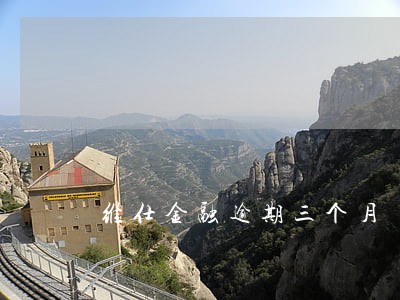 维仕金融逾期三个月 维仕金融逾期三个月