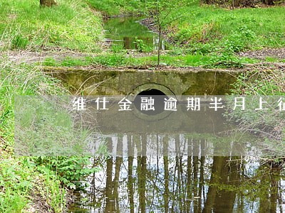 维仕金融逾期半月上征信吗 维仕金融逾期半月上征信吗
