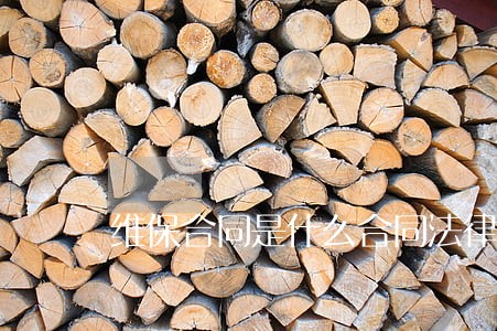 维保合同是什么合同法律关系