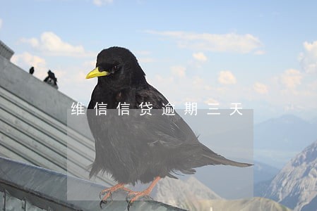 维信信贷逾期三天 维信信贷逾期三天