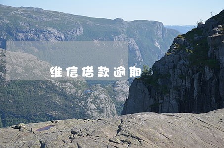 维信借款逾期