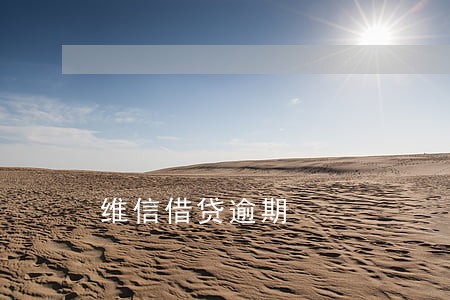 维信借贷逾期 维信借贷逾期