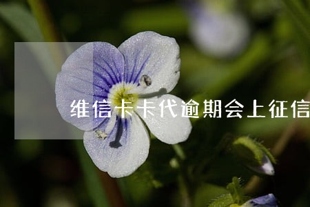 维信卡卡代逾期会上征信吗 维信卡卡代逾期会上征信吗