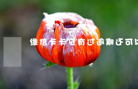 维信卡卡贷有过逾期还可以加贷吗 维信卡卡贷有过逾期还可以加贷吗