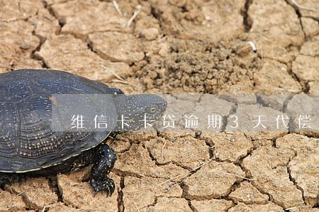 维信卡卡贷逾期3天代偿 维信卡卡贷逾期3天代偿