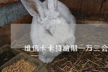 维信卡卡贷逾期一万三会坐牢吗 维信卡卡贷逾期一万三会坐牢吗