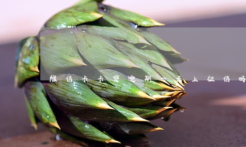 维信卡卡贷逾期一天上征信吗 维信卡卡贷逾期一天上征信吗