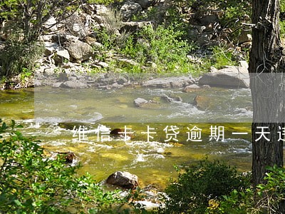 维信卡卡贷逾期一天违约金一百 维信卡卡贷逾期一天违约金一百