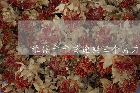 维信卡卡贷逾期三个月才还款 维信卡卡贷逾期三个月才还款