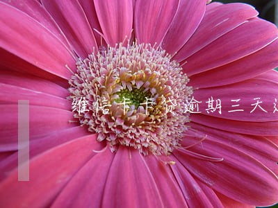 维信卡卡贷逾期三天还款 维信卡卡贷逾期三天还款