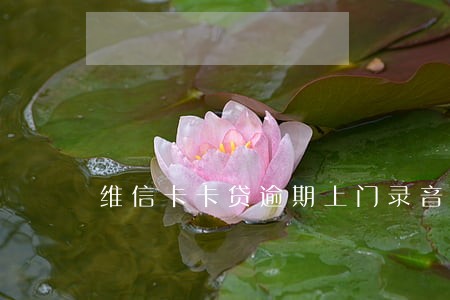 维信卡卡贷逾期上门录音取证 维信卡卡贷逾期上门录音取证