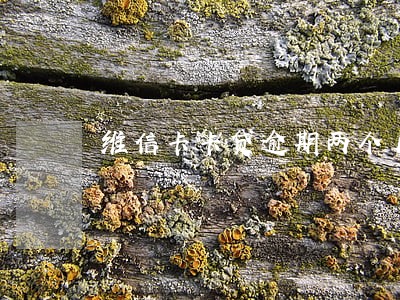 维信卡卡贷逾期两个月了怎么办 维信卡卡贷逾期两个月了怎么办