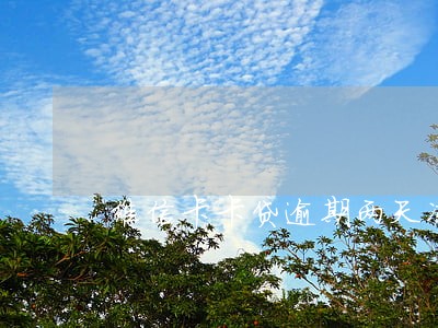 维信卡卡贷逾期两天冻结订单 维信卡卡贷逾期两天冻结订单