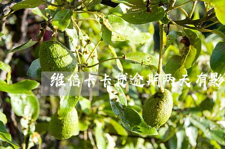 维信卡卡贷逾期两天有影响吗