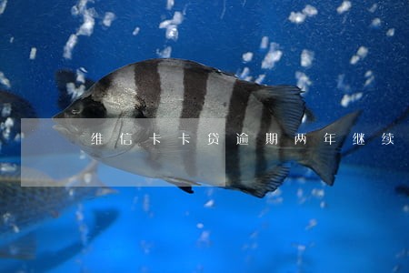 维信卡卡贷逾期两年继续还不上 维信卡卡贷逾期两年继续还不上