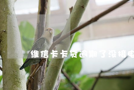 维信卡卡贷逾期了没接电话 维信卡卡贷逾期了没接电话
