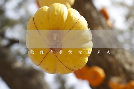 维信卡卡贷逾期五天 维信卡卡贷逾期五天