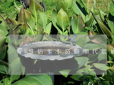 维信卡卡贷逾期代偿啥意思 维信卡卡贷逾期代偿啥意思