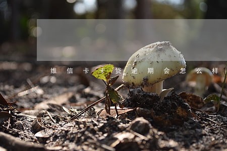 维信卡卡贷逾期会怎么样6 维信卡卡贷逾期会怎么样6