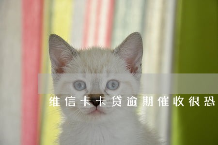 维信卡卡贷逾期催收很恐怖吗 维信卡卡贷逾期催收很恐怖吗