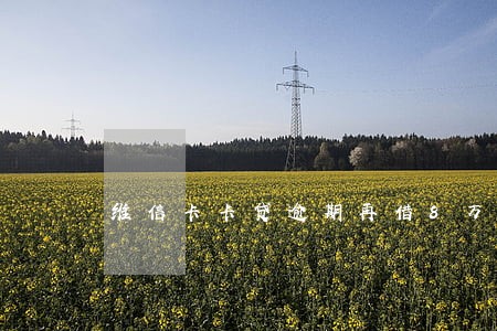 维信卡卡贷逾期再借8万