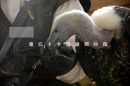 维信卡卡贷逾期协商 维信卡卡贷逾期协商