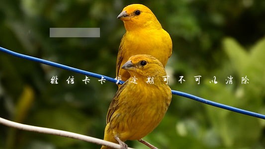 维信卡卡贷逾期可不可以消除 维信卡卡贷逾期可不可以消除