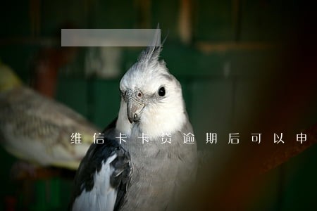 维信卡卡贷逾期后可以申请分期么 维信卡卡贷逾期后可以申请分期么