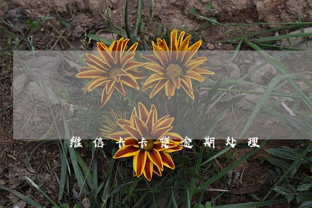 维信卡卡贷逾期处理 维信卡卡贷逾期处理