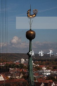 维信卡卡贷逾期多久会上征信 维信卡卡贷逾期多久会上征信