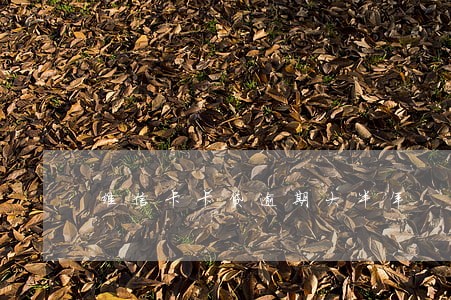 维信卡卡贷逾期大半年