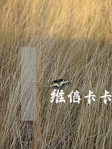 维信卡卡贷逾期投诉有用吗 维信卡卡贷逾期投诉有用吗