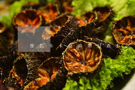 维信卡卡贷逾期没还怎么办 维信卡卡贷逾期没还怎么办